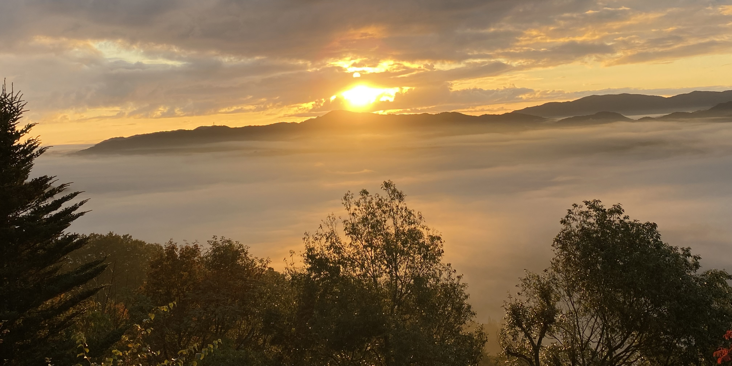 トップページ_トップバナー_4