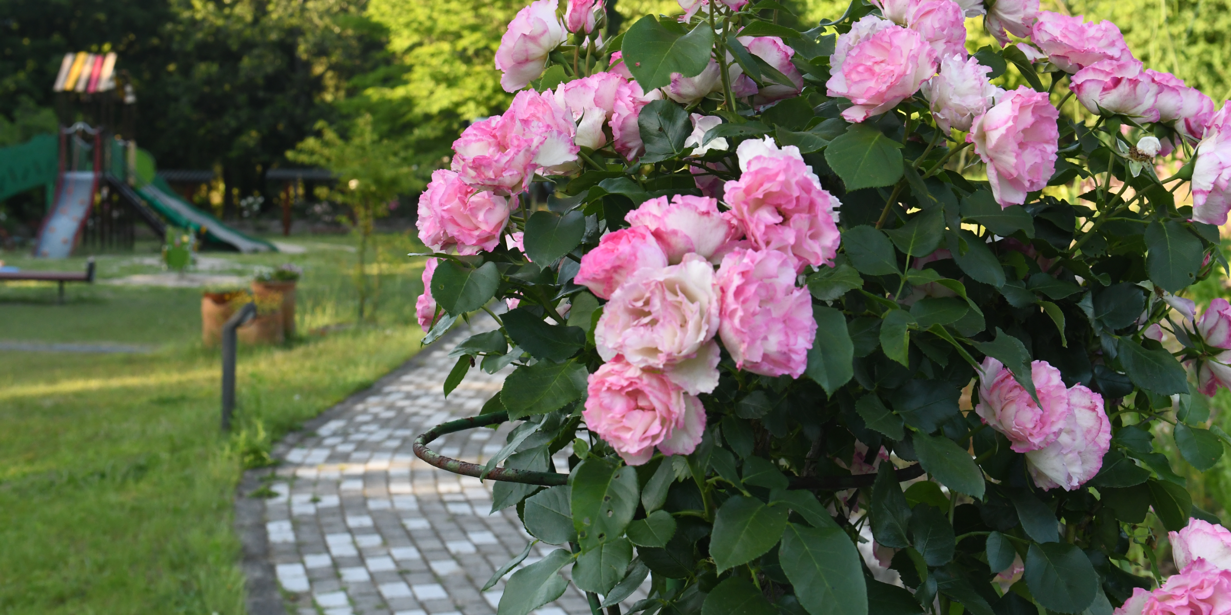 トップページ_トップバナー_5