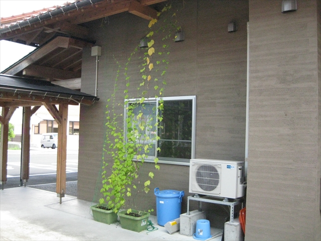 グリーンカーテン