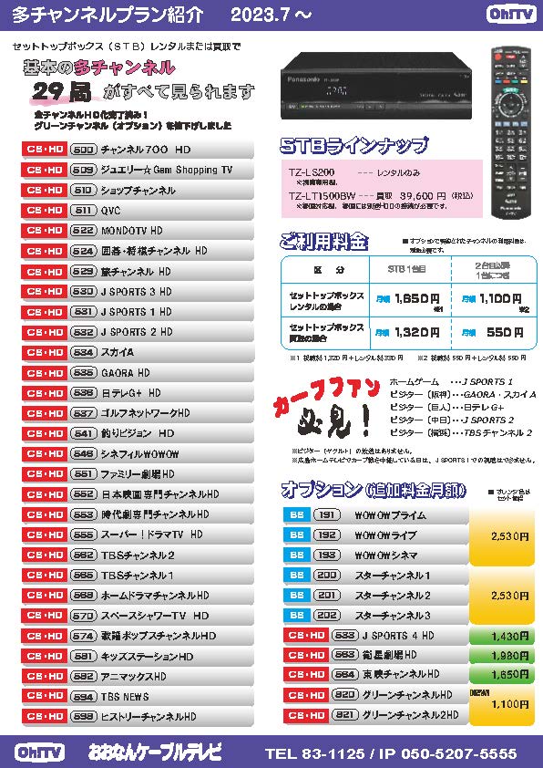 多チャンネルプラン紹介チラシ