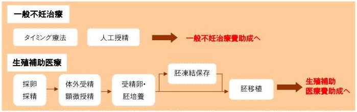 一般不妊治療費助成は、タイミング療法、人工授精です。生殖補助医療費助成は、採卵採精、体外受精顕微鏡受精、受精卵・胚培養、胚凍結保存、胚移植です